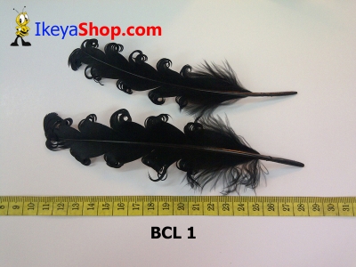 bulu curly BCL 1   feather  large2